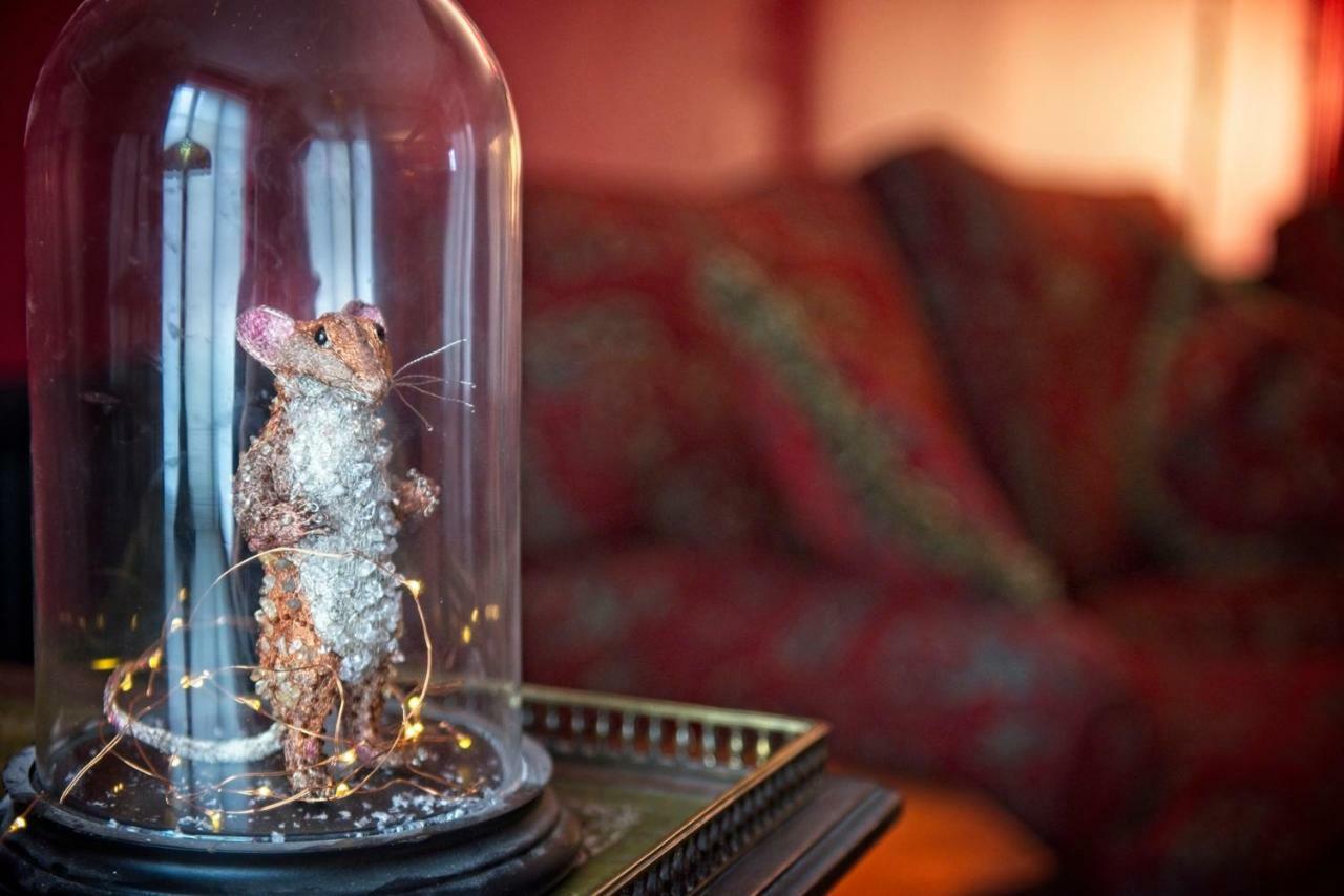 The Old Vicarage Hotel & Restaurant Bridgwater Exterior foto A mouse in a bell jar